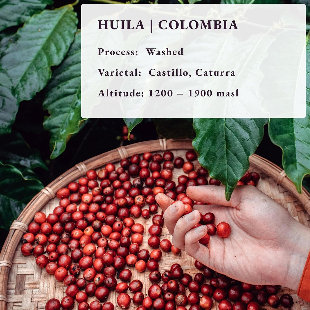 Torréfié après commande ~ Grains de café de spécialité les plus frais | Rôtissoire 80 TASSES | Colombie Huila, origine unique (1kg) Spezialitäten Kaffeebohnen, Frisch Geröstet