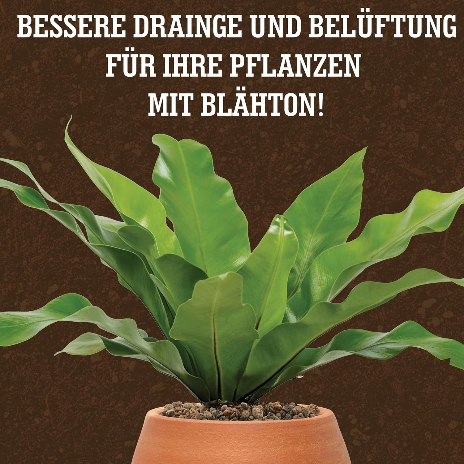 Argile expansée LERAVA® (1L) – Granulés d'argile pour plantes d'intérieur et culture hydroponique – Argile végétale au pH neutre pour un drainage optimal – Idéale comme couche de drainage ou granulés d'argile décoratifs pour plantes