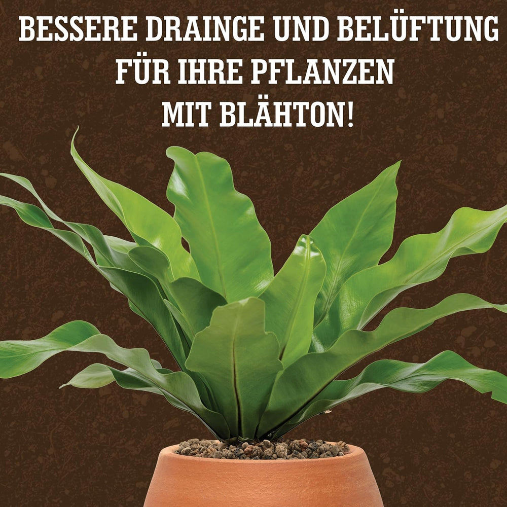 Argile expansée LERAVA® (1L) – Granulés d'argile pour plantes d'intérieur et culture hydroponique – Argile végétale au pH neutre pour un drainage optimal – Idéale comme couche de drainage ou granulés d'argile décoratifs pour plantes