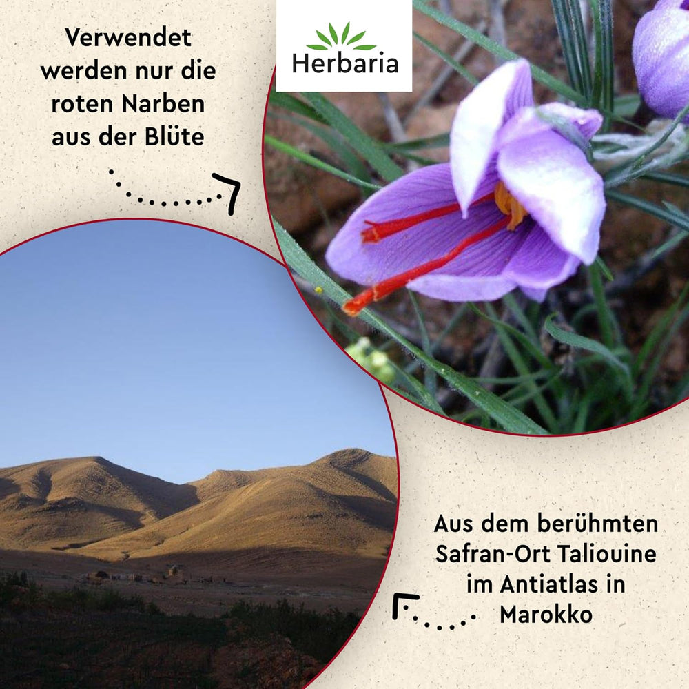 Herbaria Safran-Fäden bio 0,5g im Glas – Bio Safran-Fäden aus dem bereicht Safran-Ort Taliouine in Marokko – Safranfäden in Premium Bio-Qualität – Saffron Premium - Safran première catégorie