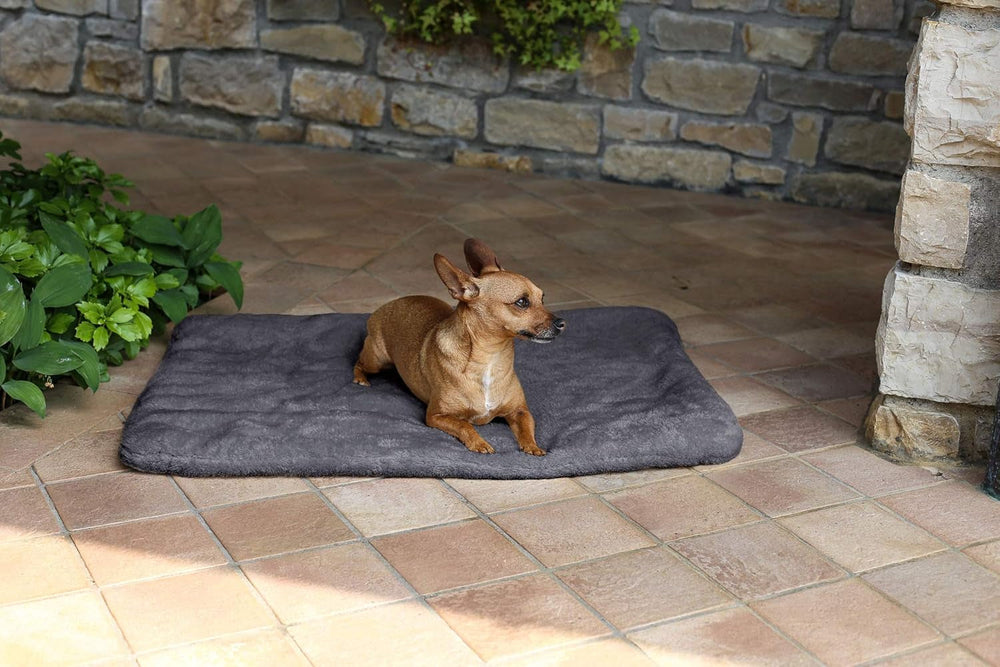 Sogni E Capricci Tapis Super Doux, Crème, 104X75CM, Polyester, Couettes et couettes Naty Shop Gris 62X50Cm