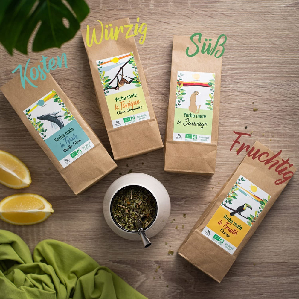 ORIGEENS COFFRET THÉ BIO MATE X4 I Yerba Mate Bio 4X80G I Coffret thé Yerba Mate, idée cadeau