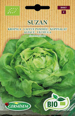 Schnittsalat BABY LEAF ASIAN MIX, ECBIO6022