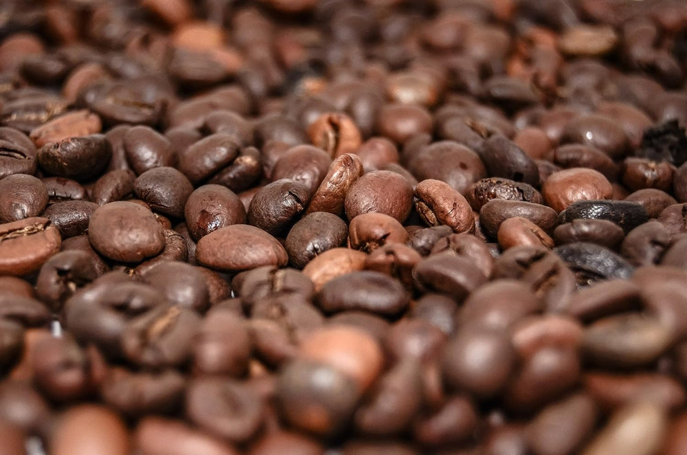 Café spécial d'Amérique du Sud - Galapagos, l'écosystème unique des îles (200 grammes, grains entiers) - café d'origine unique - café haut de gamme - faible acidité - légèrement torréfié et frais