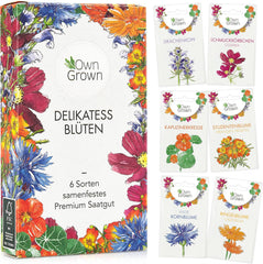 Essbare Blumen Samen Set : Delikatess Blumen Blumensamen Set mit 6 Sorten Blumen Saatgut – Essbare Blumen Samen – Essbare Blumen für Torte – Essbare Blumen Tortendeko – Blumen Essbar von OwnGrown