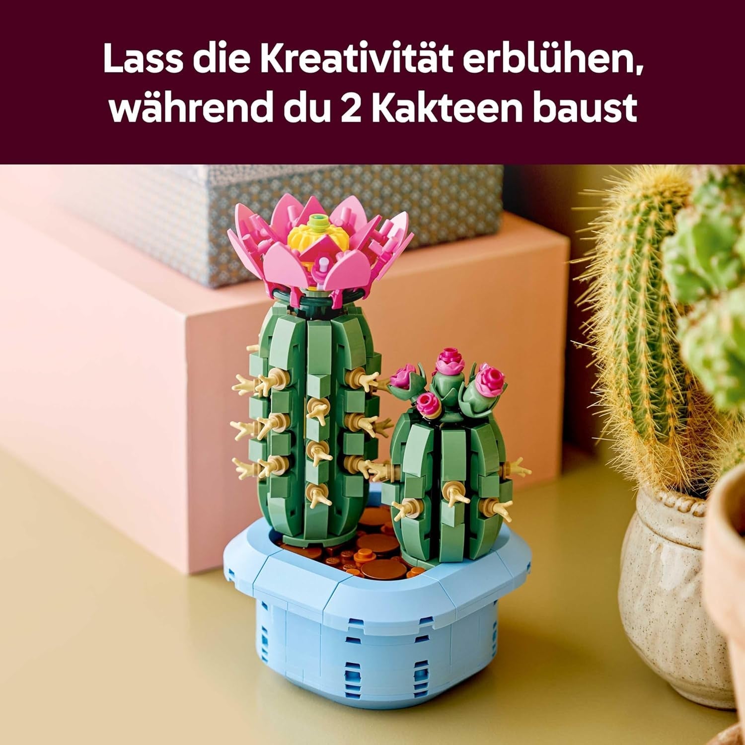 LEGO Botanicals Blühender Kaktus - Set mit Kunstpflanze mit 2 Kakteen & künstlichen Blüten - DIY Deko - Geschenkidee zum Geburtstag für Mädchen ab 9 Jahren & Erwachsene Pflanzenliebhaber - 11509