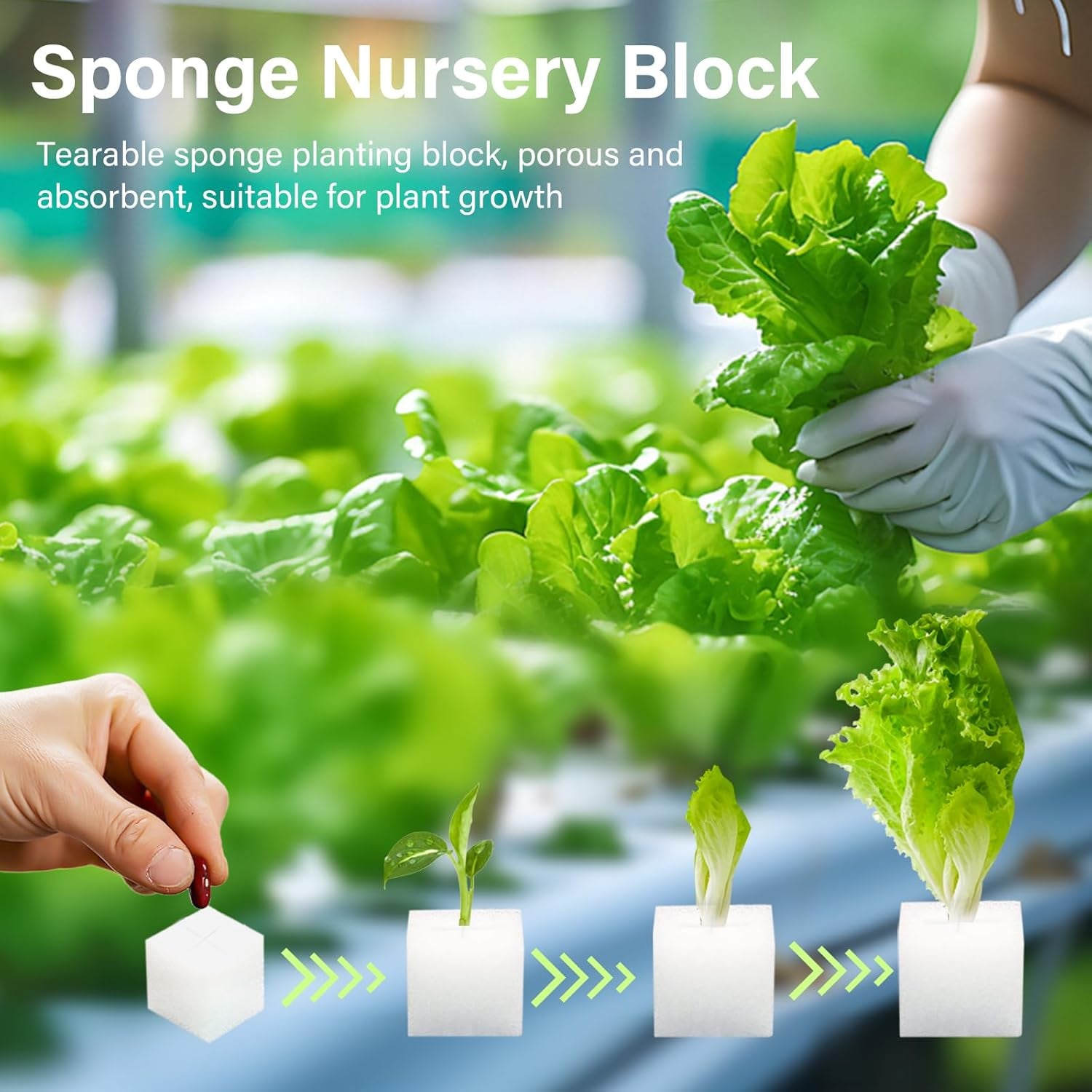 Laine de roche, laine de roche de propagation, 2 pièces, éponge hydroponique, 200 pièces après coupe - Alternative pour serre, germination des graines et légumes domestiques