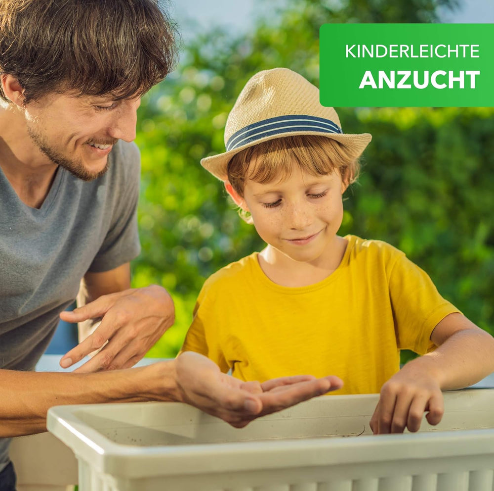 Magic of Nature Balcony Box Mix - 10 g de graines - Plantes respectueuses des abeilles - Facile à utiliser - Bee Paradise - 5 espèces cultivées indigènes - Convient aux bacs à fleurs et aux jardinières