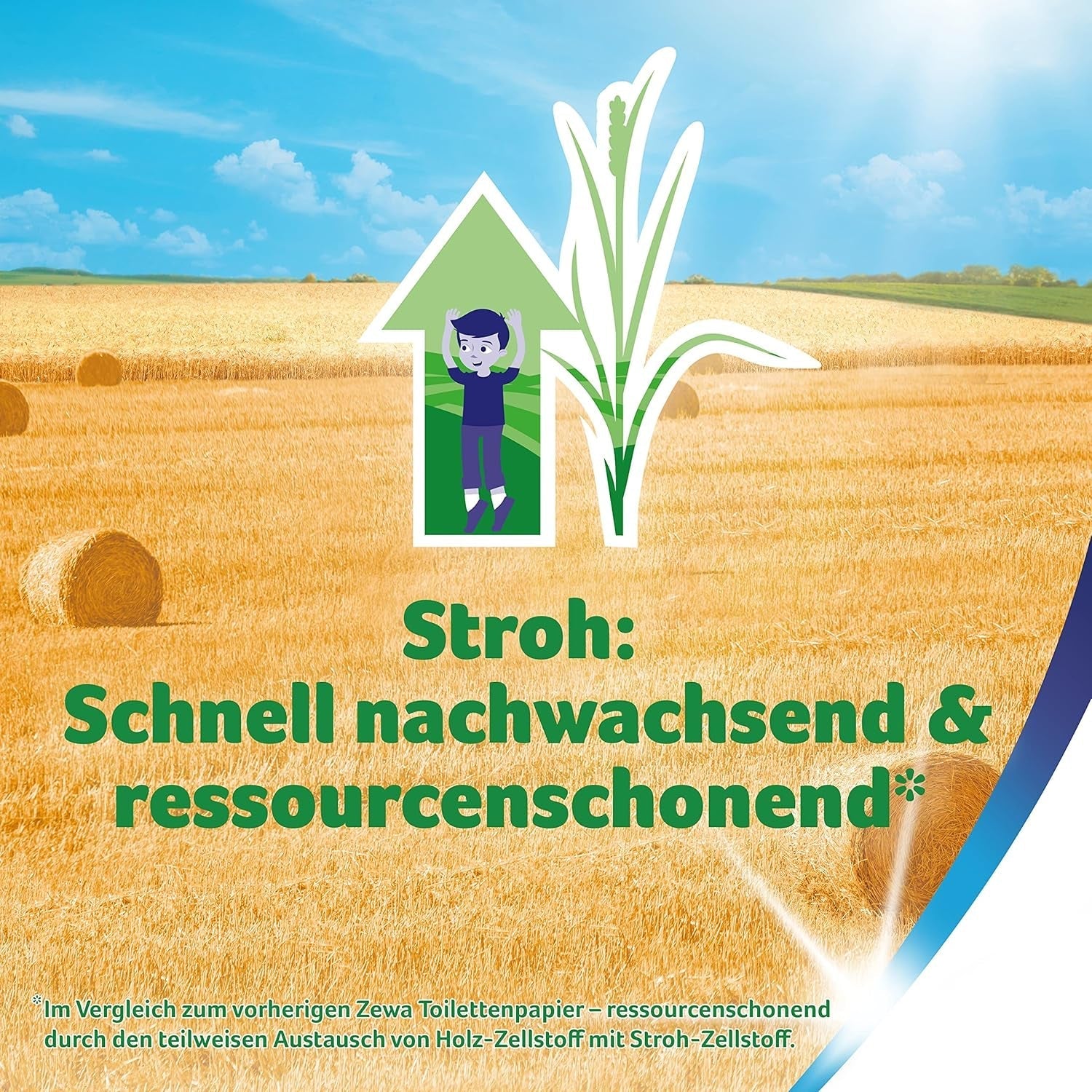 Zewa Proven - 48 rouleaux - Le premier papier toilette contenant de la paille - 3 couches