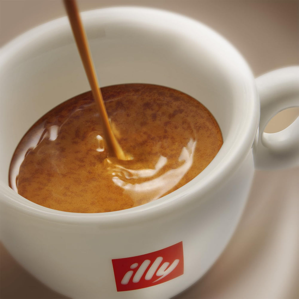 illy Vollbohnenkaffee – perfekt geröstete Bohnen – Classico Medium Roast – avec notes de caramel, orangenblüte et jasmin – 100% Arabica – sans conservateur – 500 ml