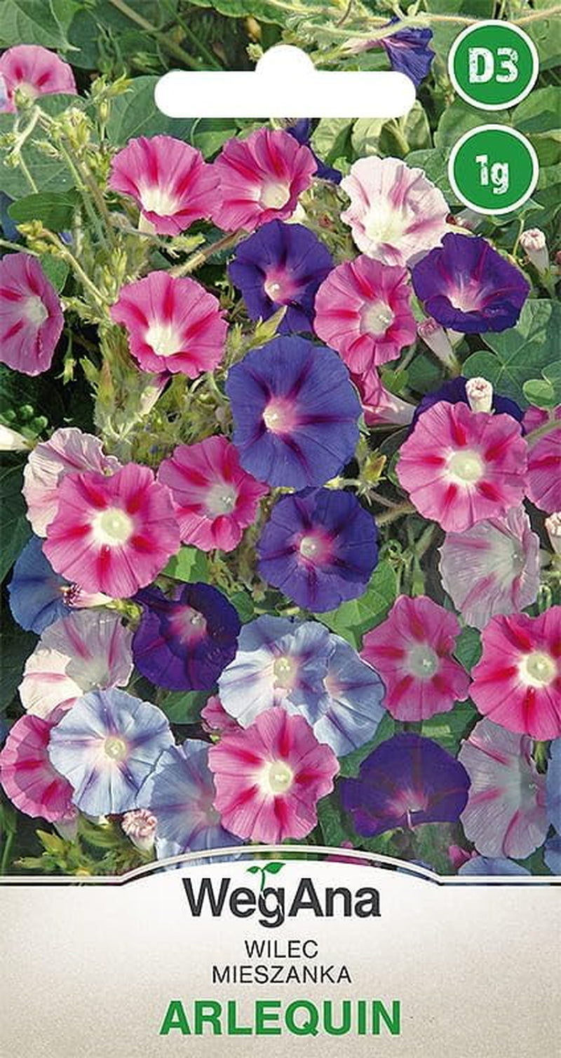 Cosmos Sensation Mix 1g graines, Cosmos Mix Fleurs d'été, Plantes de jardin Plantes de balcon, Graines de fleurs