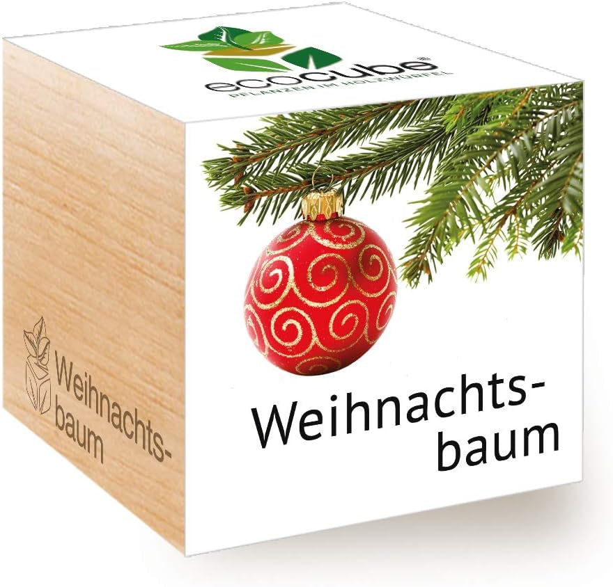 Feel Green Ecocube Weihnachtsbaum/Xmas Tree, Nachhaltige Geschenkidee (100% Eco Friendly), Grow Your Own/Anzuchtset, Pflanzen Im Holzwürfel, Made in Austria
