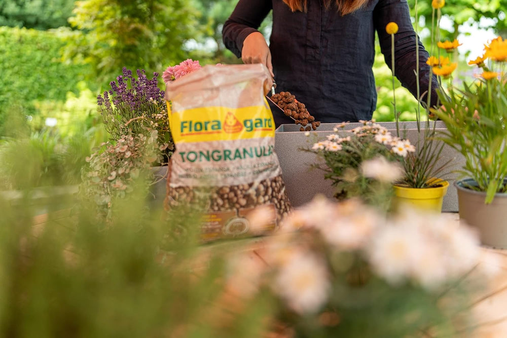 Granulés d'argile expansée Floragard 50 L - matériau de drainage naturel et substrat hydroponique pour pots, bacs, plantes d'intérieur et jardinières - évite l'accumulation d'eau, assure une bonne aération