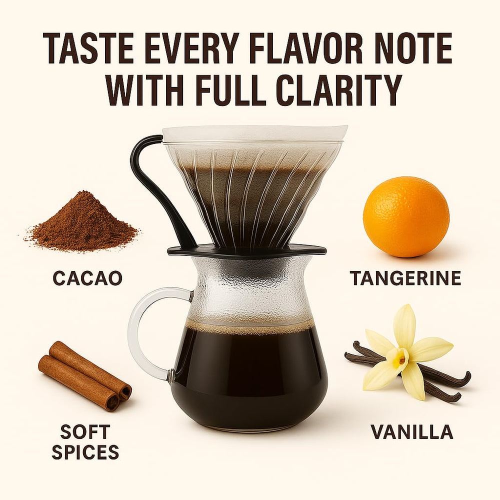 Torréfié après commande ~ Grains de café de spécialité les plus frais | Rôtissoire 80 TASSES | Guatemala Antigua, origine unique (1 kg) Spezialitäten Kaffeebohnen, Frisch Geröstet