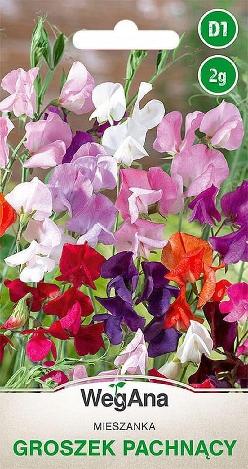 Cosmos Sensation Mix 1g graines, Cosmos Mix Fleurs d'été, Plantes de jardin Plantes de balcon, Graines de fleurs