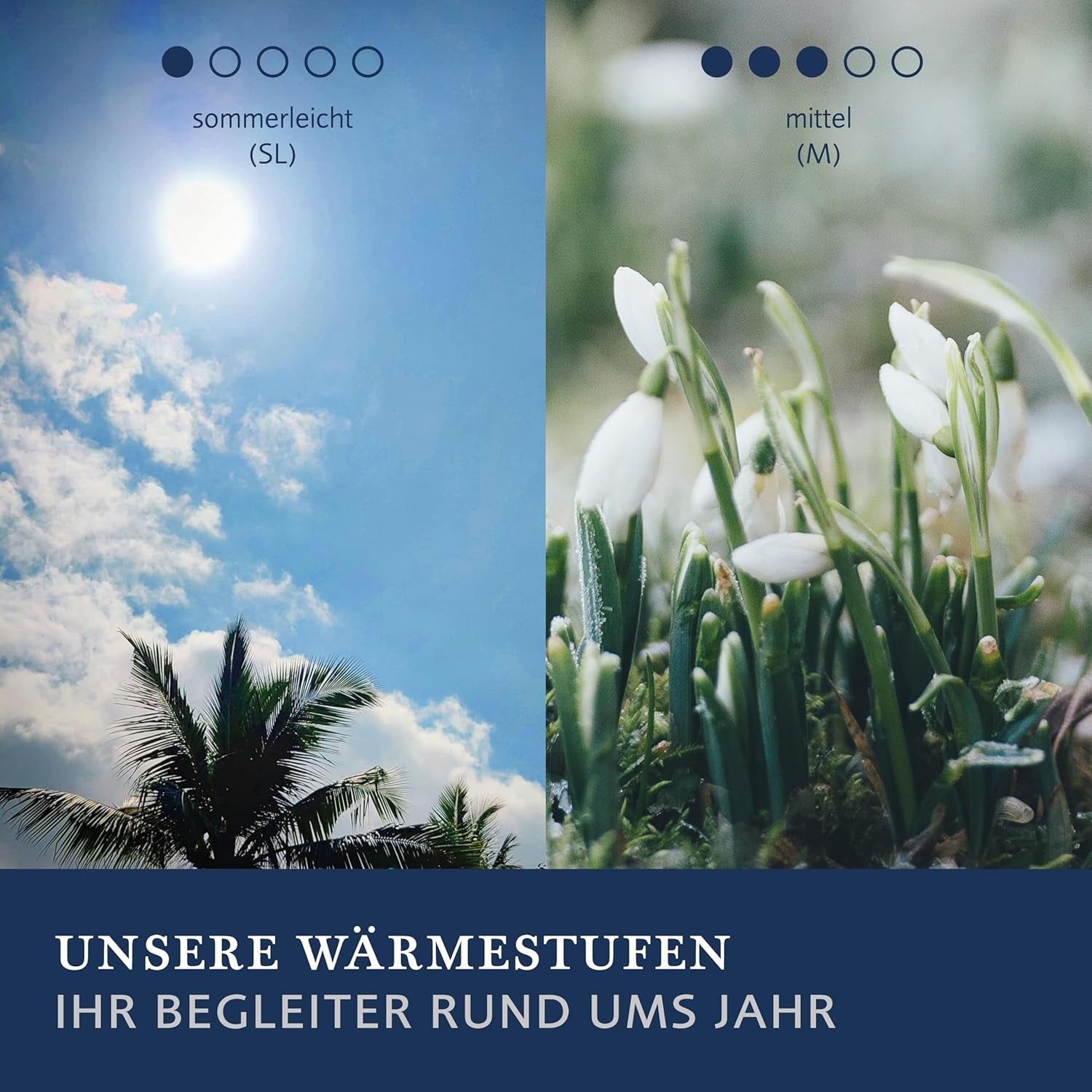 Couette Billerbeck E48 Kairo - Couette d'été - 135 X 200 Cm - Couette rafraîchissante - Avec 60% poil de chameau 40% laine vierge Couettes et couettes Naty Shop