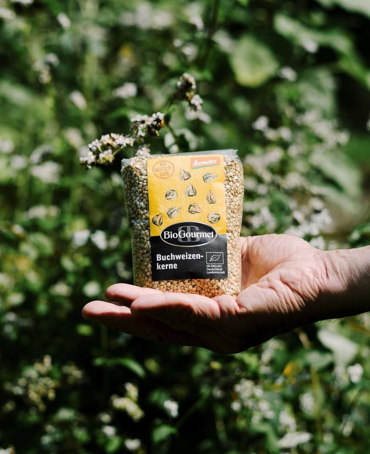 Sarrasin BioGourmet Demeter – Sachet 500g | Sans gluten, riche en fibres et régional | Issu de l'agriculture biologique allemande (Bade-Wurtemberg/Bavière) | Idéal pour le muesli, les salades et les accompagnements