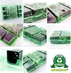 6 x Jardin Scheinsonnenhut 'Doubledecker' - Echinacea Purpurea 'Doubledecker' Pot 9x9cm : Double Blüten, einzigartige Optik, zieht Bienen an, idéal pour le jardin.