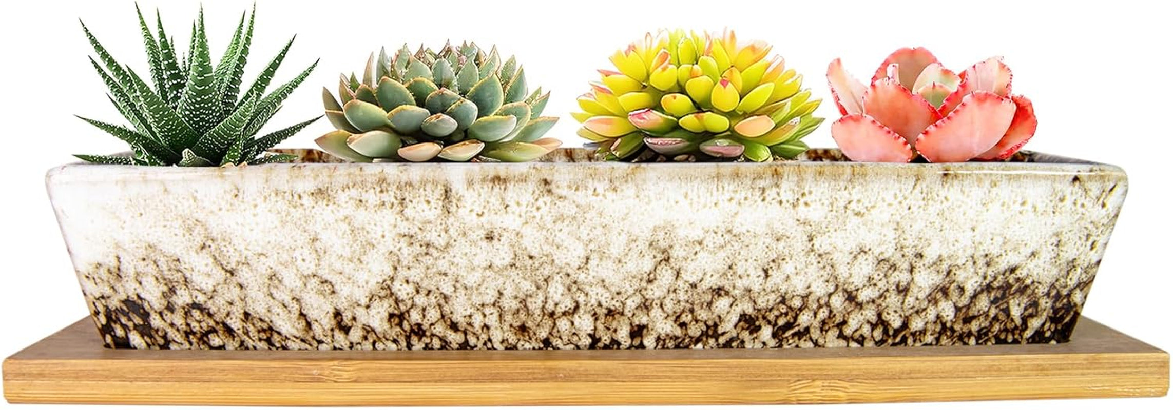 Ghivece ceramice pentru suculente, 30 cm, moderne, lungi, dreptunghiulare, recipient pentru flori cu tavă, cutie plată pentru cactus și bonsai cu drenaj, pentru uz interior și exterior, decorațiuni interioare