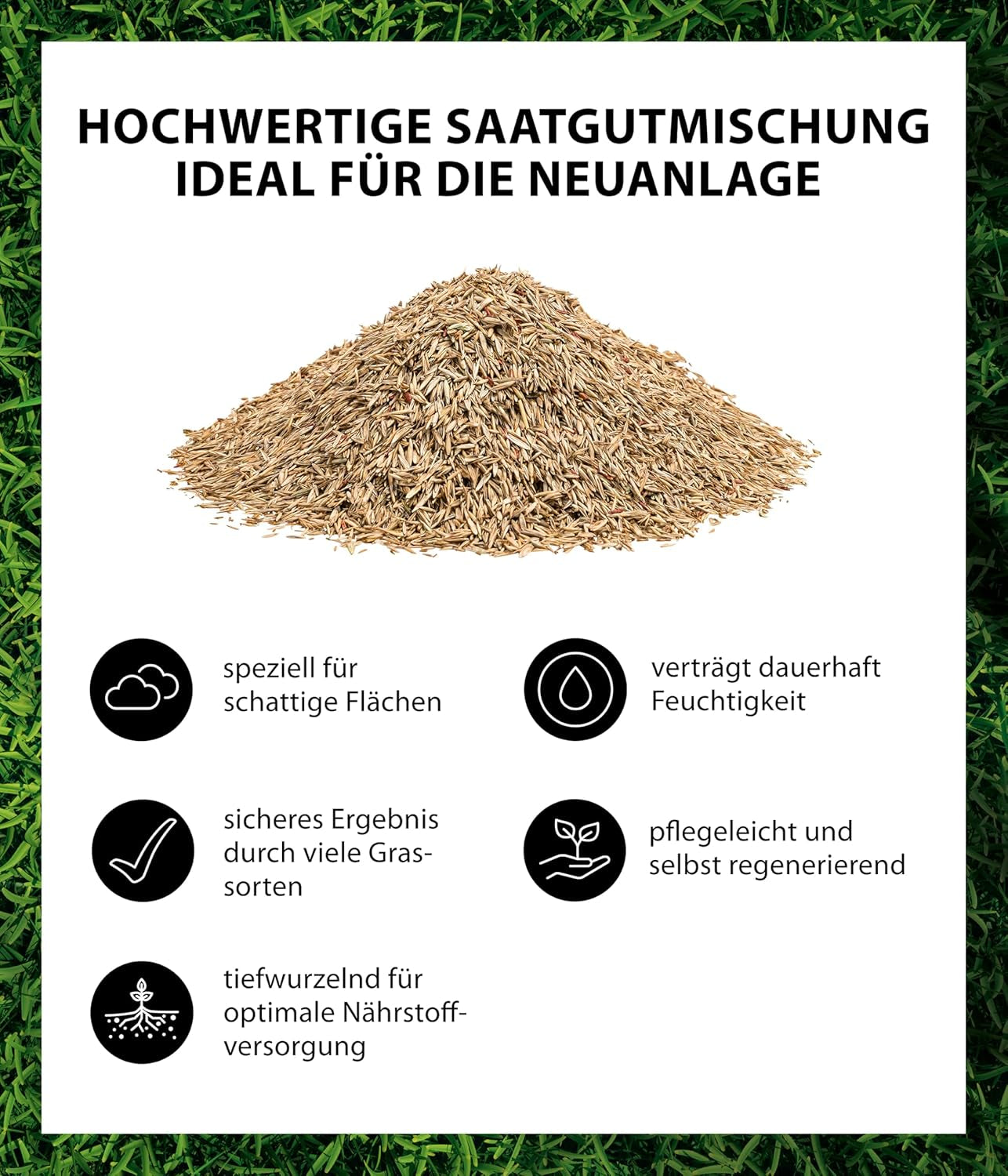 Dehner Saatgut Schattenrasen, Hochwertige Rasensamen Schnell Keimend/Selbstregenerierend, Ideal Für Schattige/Halbschattige Flächen, Fsc-Zertifizierte Verpackung, 1.25 Kg Für Ca. 50 M²