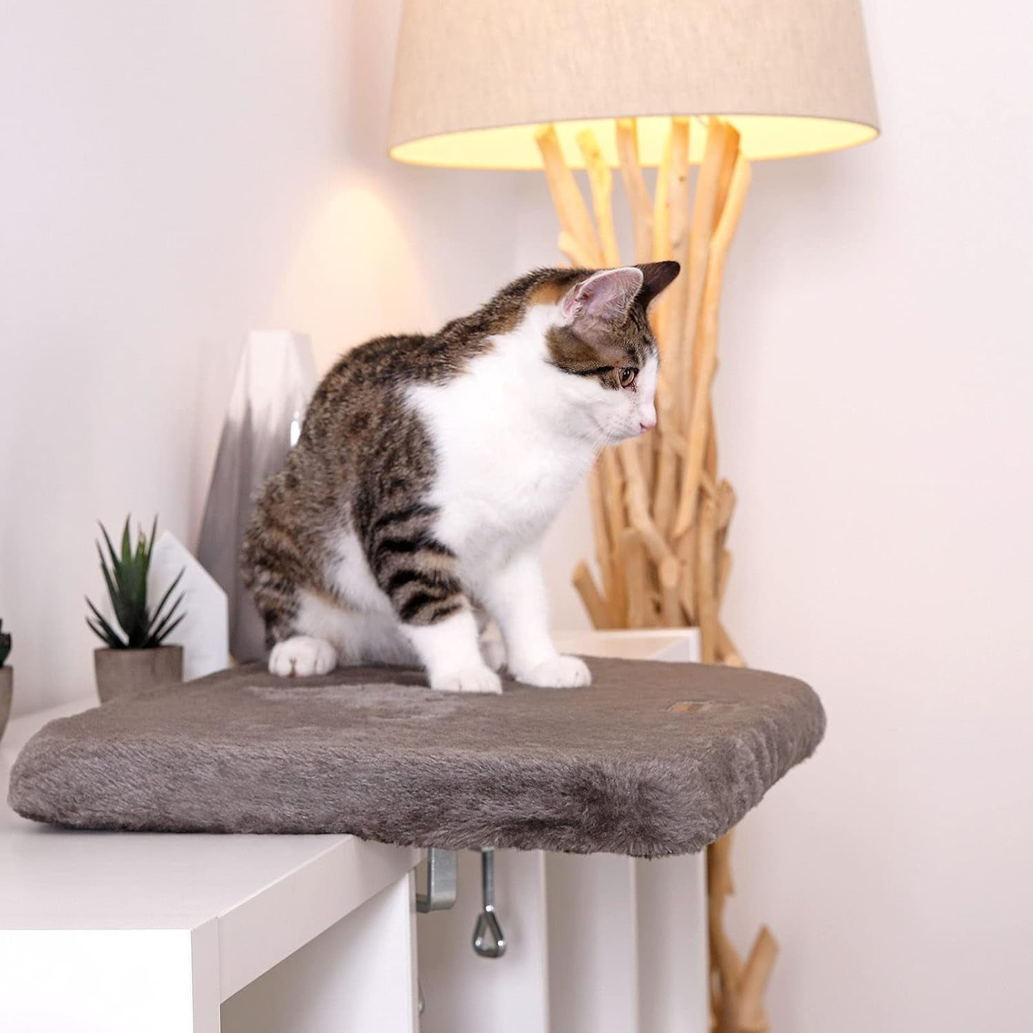 Couvertures et meubles, Sièges de fenêtre, Animaux domestiques, Chats, Lits pour chats, Chats - lits, matelas