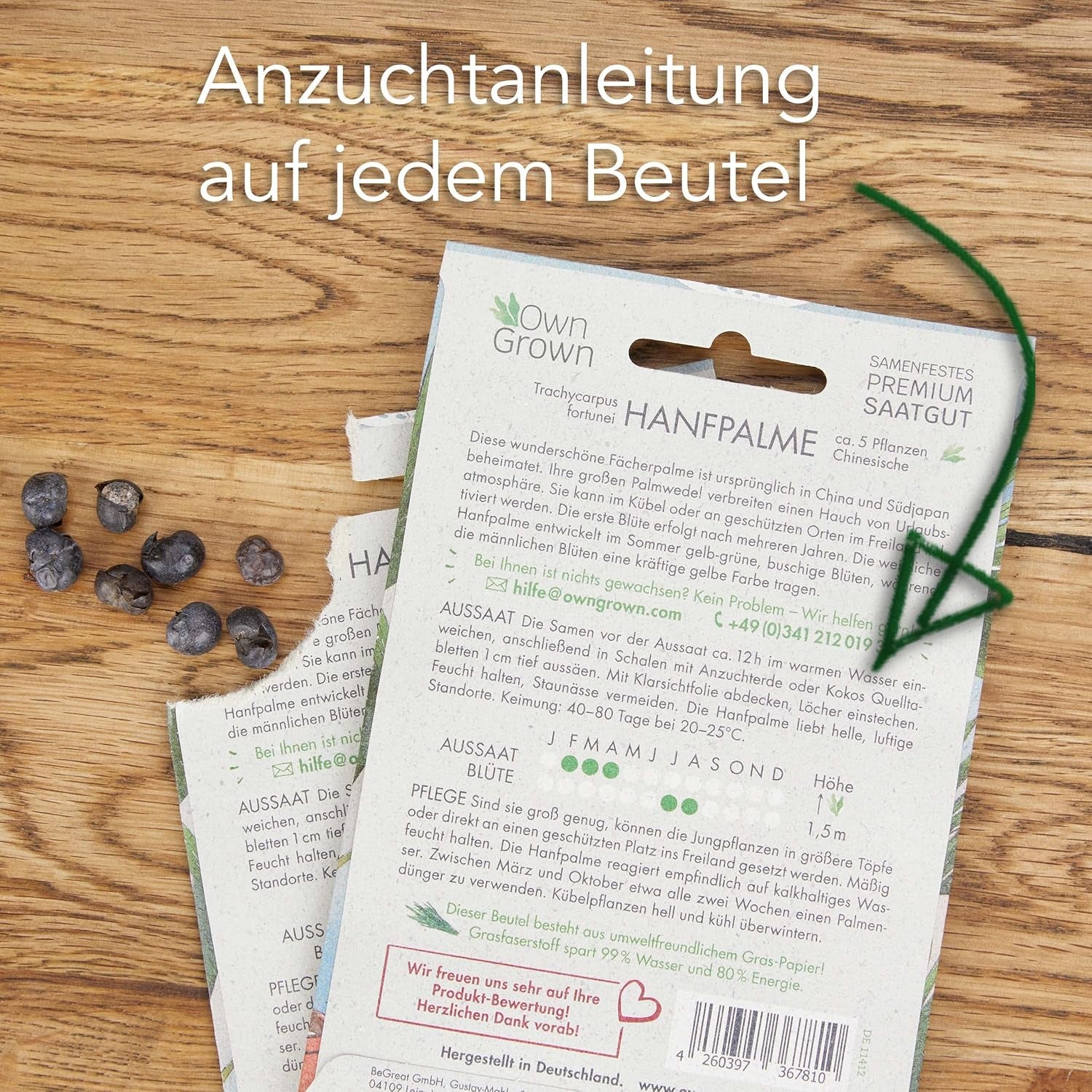Chinesische Hanfpalme Saatgut: Palmen Samen Für 5X Palme Zimmerpflanze – Winterharte Zimmerpflanzen Groß – Grünpflanzen Zimmerpflanzen Samen Owngrown