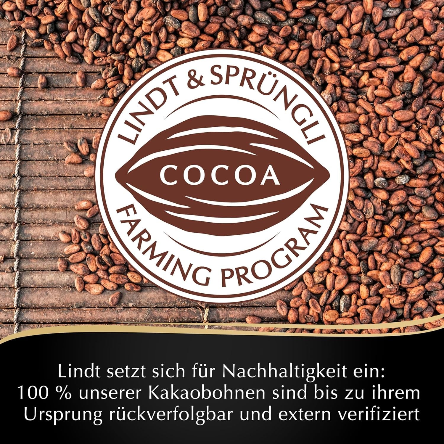 Mousse au chocolat noir Lindt avec piment et cerises | Barre 150g | Avec 70% de cacao et garniture de mousse au chocolat noir et piment cerise | Barre de chocolat | Chocolat noir