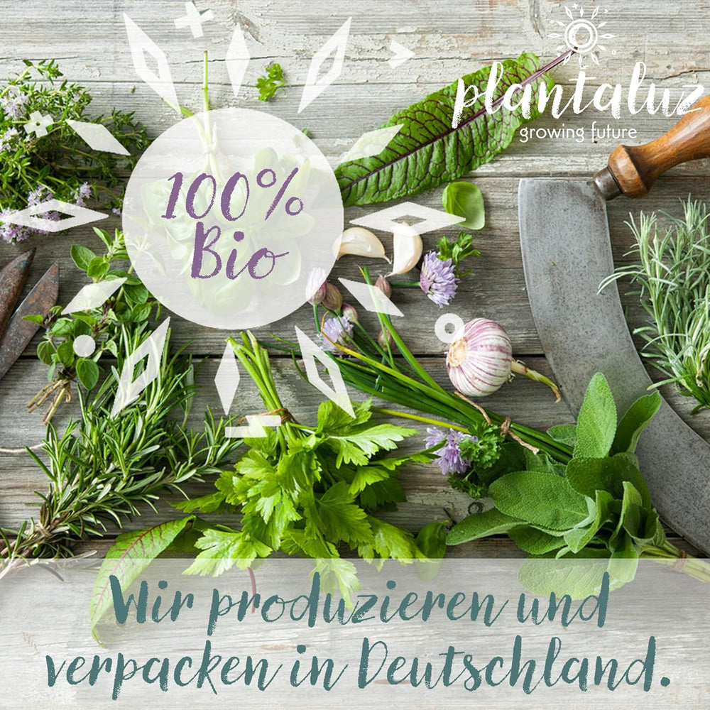 Plantaluz Premium Bio Seed Set P04 - Set de graines de légumes et d'herbes méditerranéennes avec 10 variétés pour jardin, balcon et plates-bandes surélevées - Y compris des bâtons de plantation FSC - Graines biologiques pollinisées et sans OGM