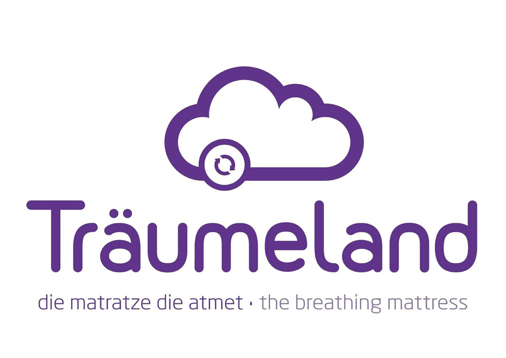 Dreumeland T060183 Coussin Mousse avec Tencel 40 X 60 cm, blanc Oreillers standard Naty Shop