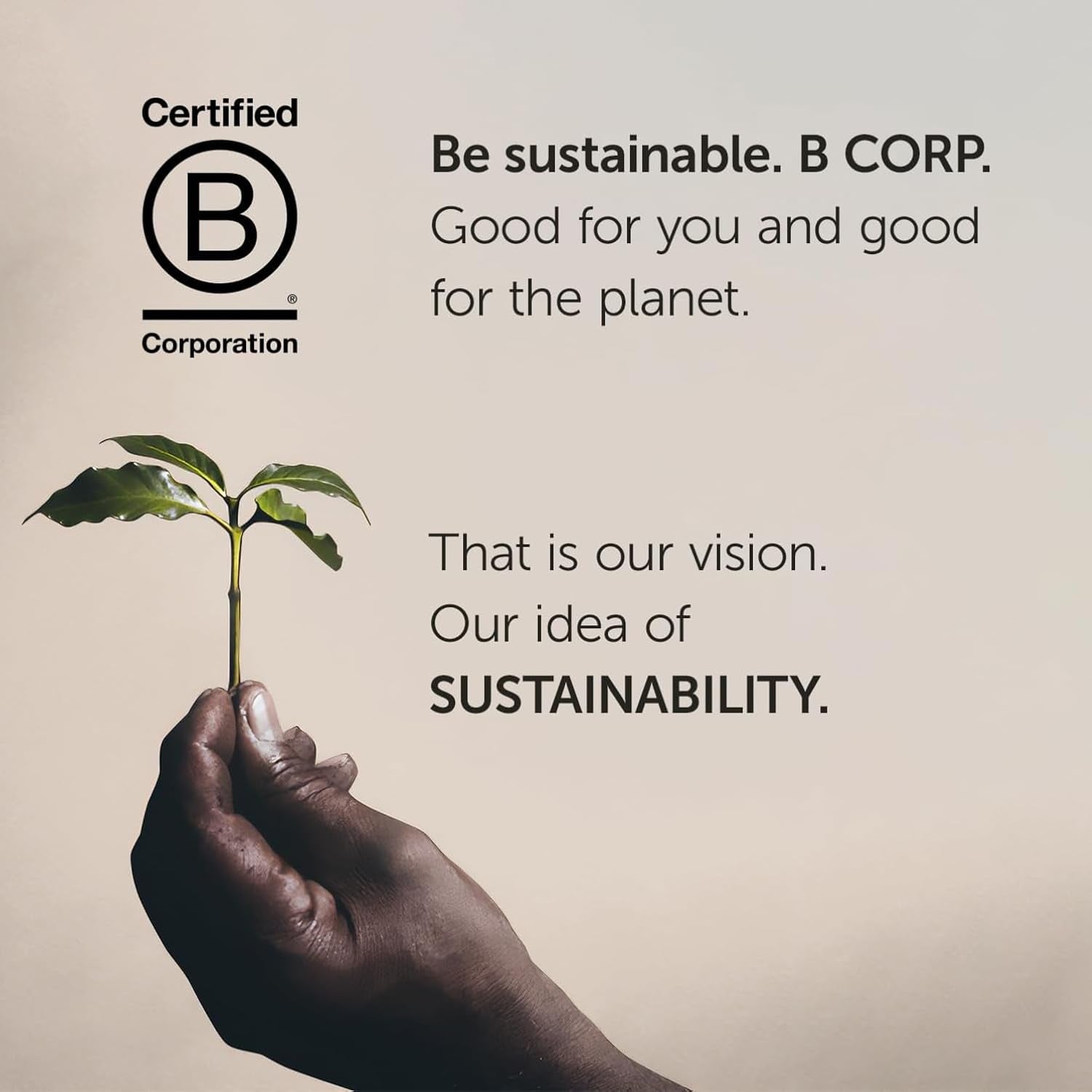 illy, Compatible Aluminium-Kaffeekapseln CLASSICO, 100 % Arabica avec des notes de fleurs d'oranger et de jasmin, goût sucré et arrière-goût sucré, 10 paquets de 10 capsules (100 au total)