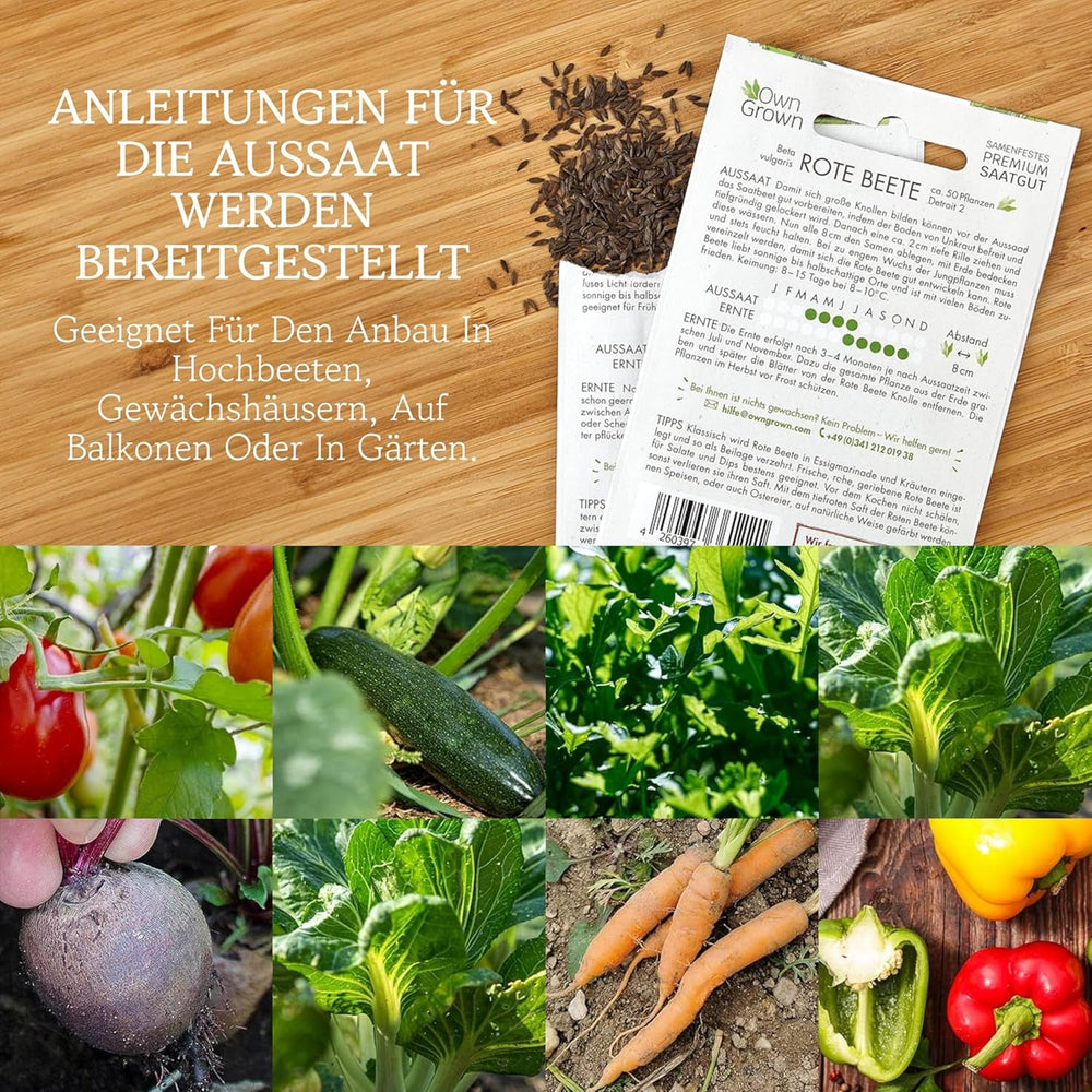 OwnGrown Gemüse Samen Set - 12 Pflanzensamen Sorten für Hochbeet und Garten - Praktische Box mit Gemüsesamen für den Anbau Frischer Ernte zu Hause - Ideal für Gartenliebhaber