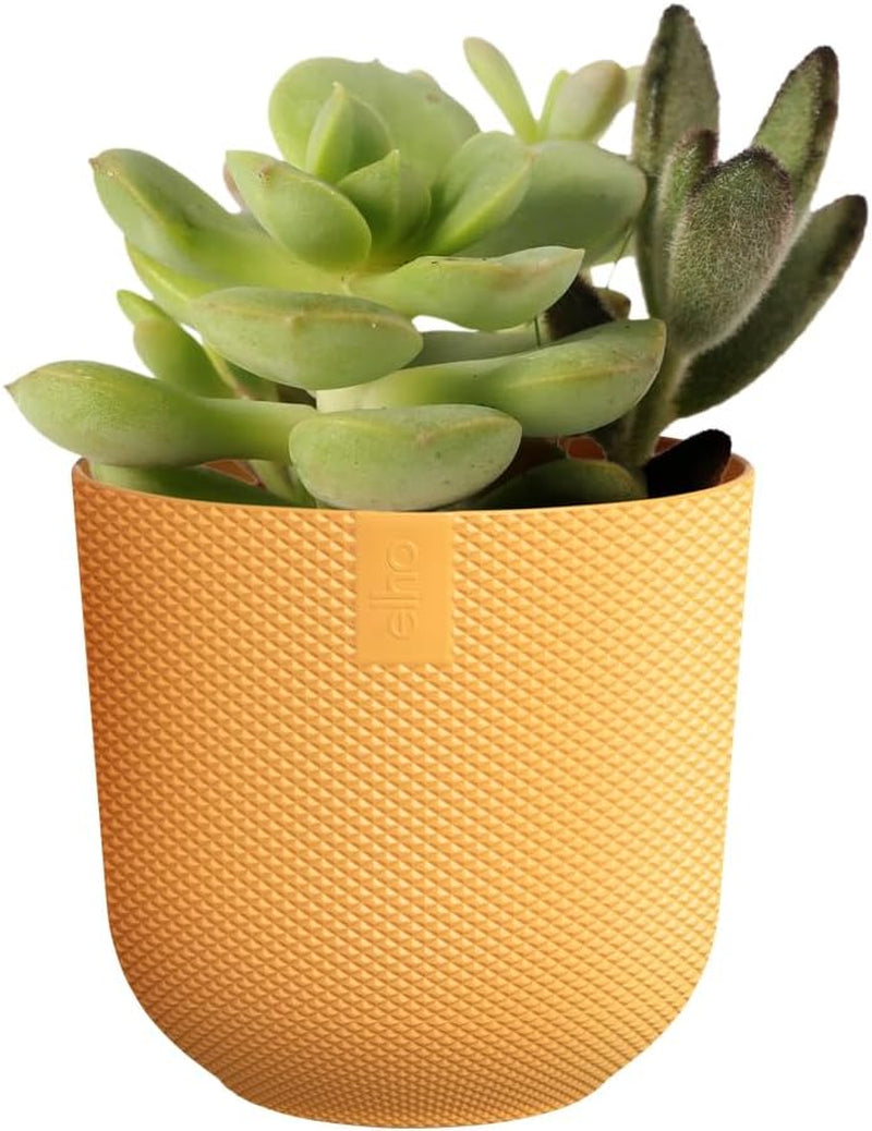 elho Jazz Round Mini 7cm - Pots de fleurs d'intérieur - 100% plastique recyclé - Ø 7 x H 6,5 cm - Jaune/Ambre