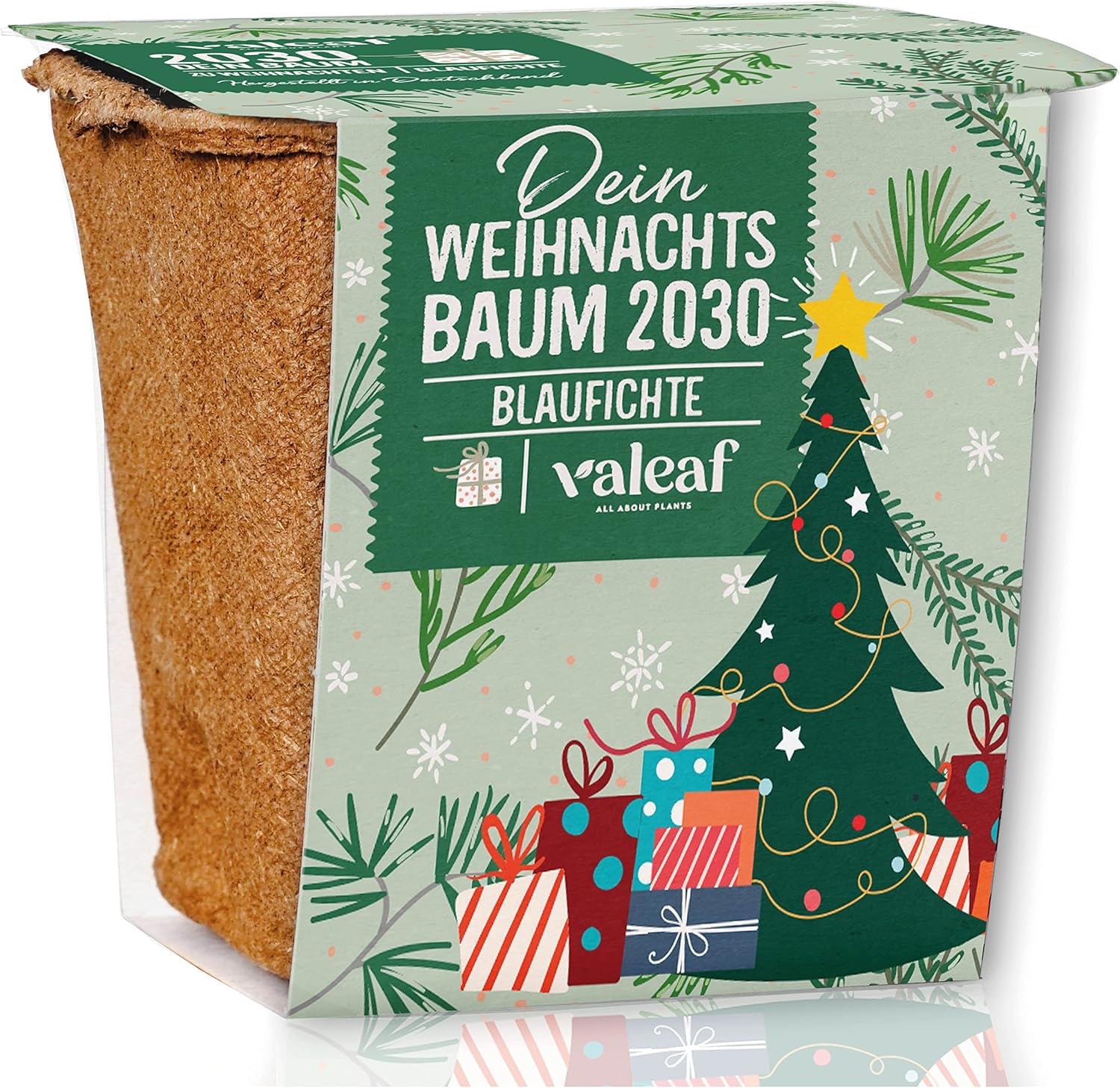 Weihnachtsbaum Anzucht Set I Tolle Geschenk-Idee, Wichtelgeschenke Weihnachten, Nikolausgeschenke Und Garten Geschenke I Weihnachtsbaum Aus Der Dose (Blaufichte 3)