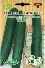 Gurke TELEGRAPH IMPROVED, ECBIO4024