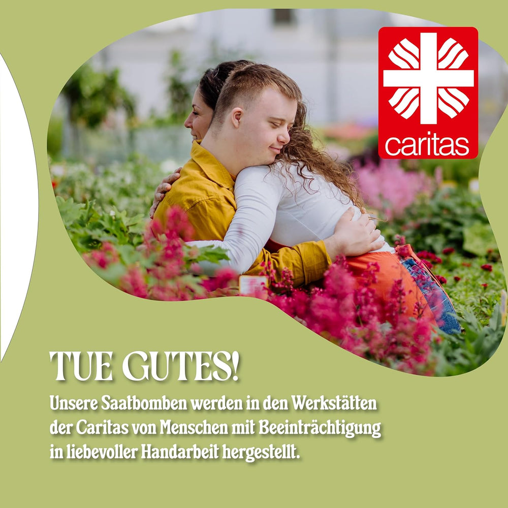 LouMaxx Ensemble de bombes de graines faites à la main 10 x 3, cadeau de bombe de graines, graines de fleurs comme cadeaux de fête, graines durables pour cadeaux de fête d'enfants, boules de jardinières respectueuses de l'environnement avec plus de 50 types de graines de fleurs