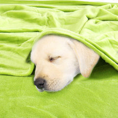 Sourcing Map Couverture douillette Couvre-lit Couverture polaire douce et chaude comme couverture de canapé Couverture de canapé Salon et couverture câline Couverture en laine velours doux peluche vert pomme 150X200Cm Lits et couvertures uxcell