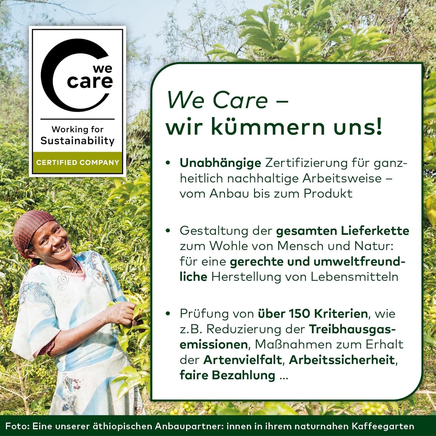 LEBENSBAUM 2x Kaffee Gourmet Klassisch, ganze Bohne, Bio Kaffee aus Arabica-Bohnen, Intensität 3/5, ausgefunger, aromatischer Genuss, 2 x 1 kg...