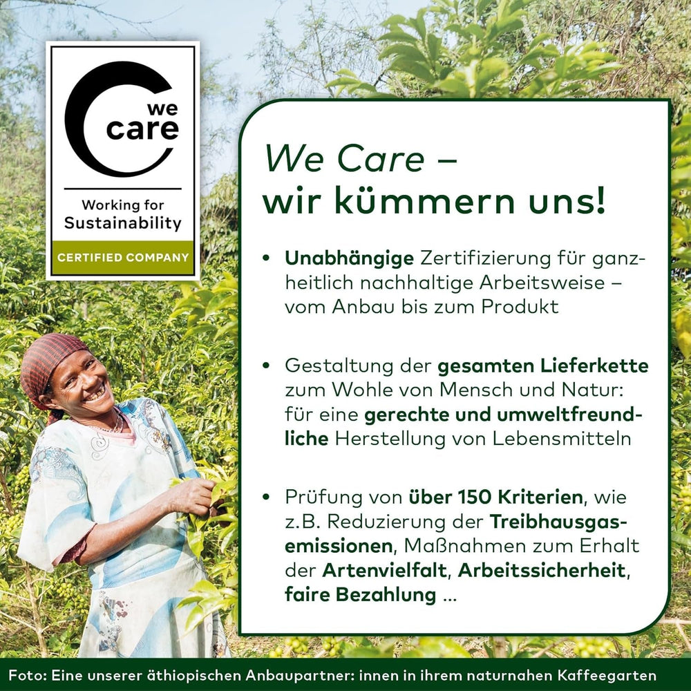 Lebensbaum Darjeeling Thé vert à feuilles entières, thé biologique, thé vert au goût de fleur fraîche, couleur vert clair, 1000g