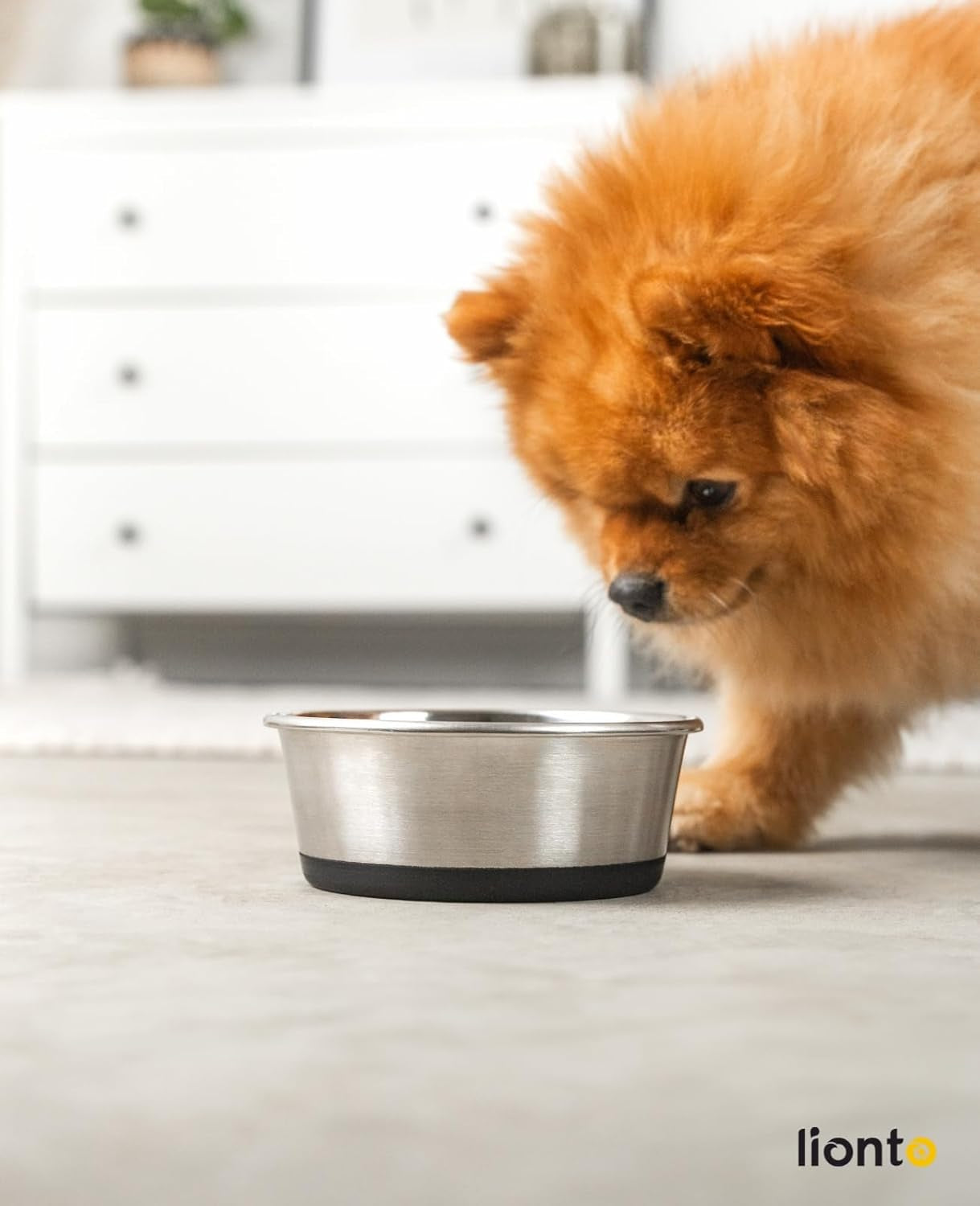 Bol pentru animale de companie Lionto din oțel inoxidabil, 600 ml, bol pentru câini sigur pentru alimente cu bază din silicon antiderapantă, bol cu apă rezistent la rugină pentru câini și pisici, lavabil în mașina de spălat vase