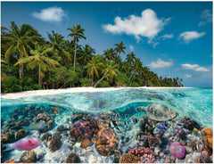 Ravensburger Puzzle 17441 Une plongée aux Maldives - Puzzle 2000 pièces pour adultes et enfants à partir de 14 ans Puzzle Naty Shop