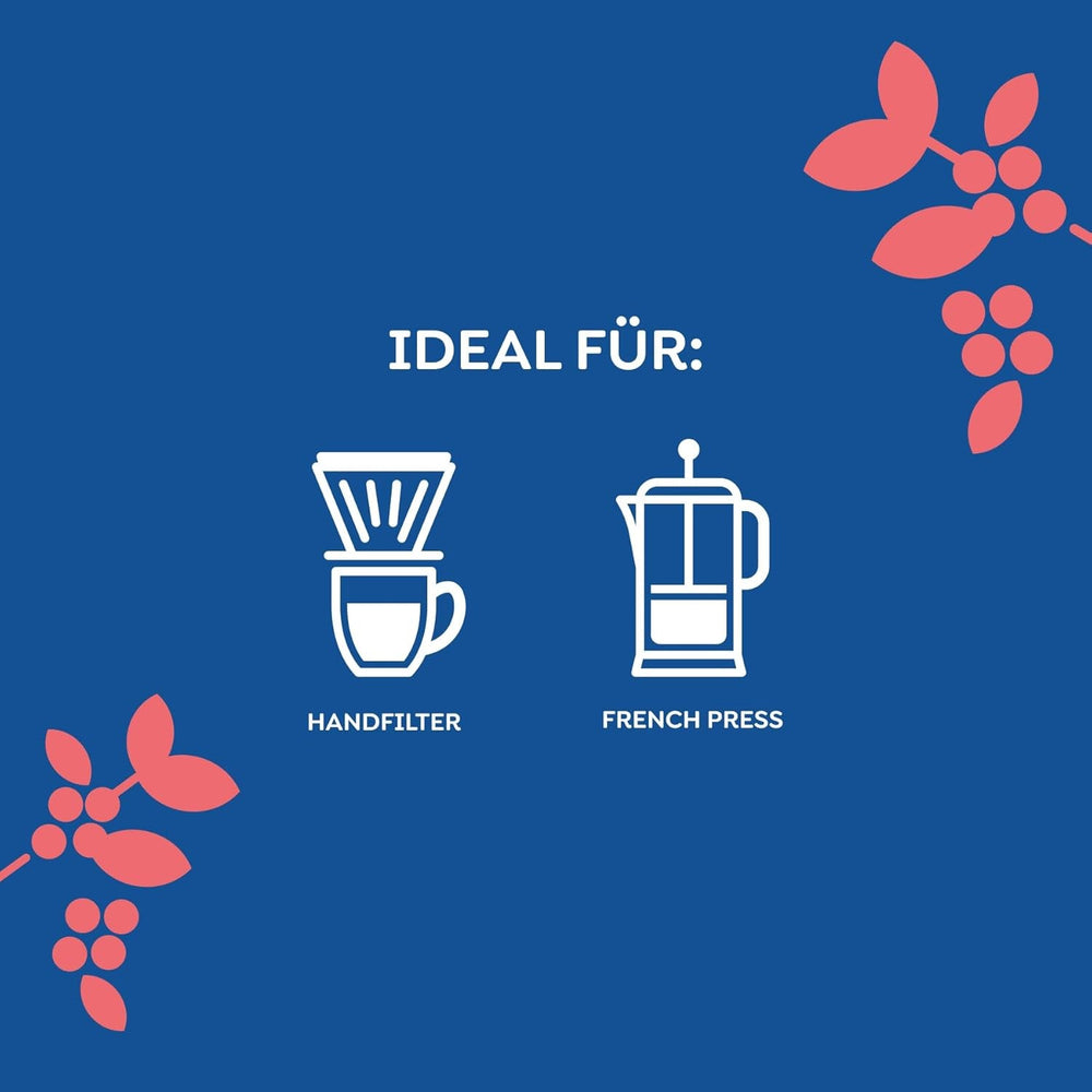 Melitta Manufaktur-Kaffee Guatemala Honey, café de spécialité, 250 g, grains de café entiers, non moulu, café d'origine unique, torréfaction délicate au tambour, torréfié en Allemagne, force 3 Coffee Naty Shop