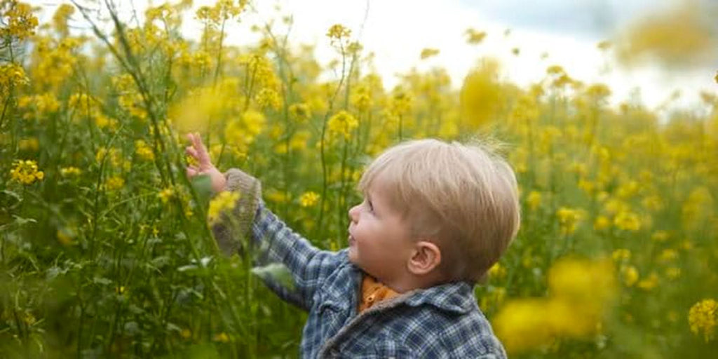 Muesli de fructe ecologic Hipp, pachet de 6 x 200 grame Cereale Naty Shop