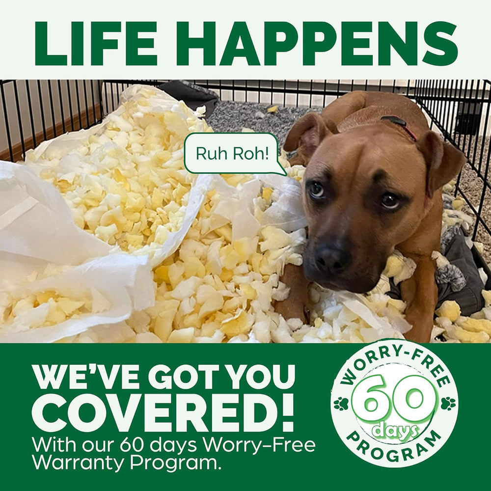 Lits, couvertures et meubles, animaux, chats, lits pour chats, Chats - lits, matelas