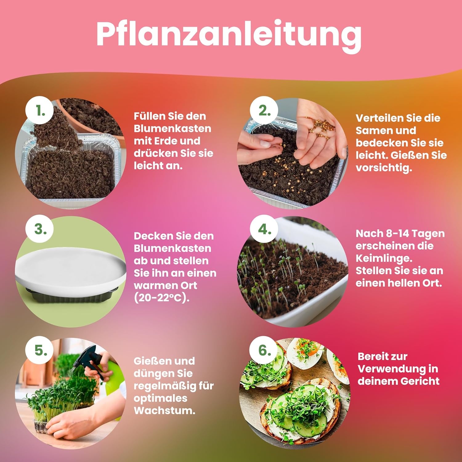 LERAVA Kräutersamen Set – 12 Sorten: Basilicum Samen, Parsilie Samen, Coriandre, Origan & plus – Saatgut für frische Kräuter im Garten oder Topf, Premium Samen für Küche & Balkon - Samen set, graines