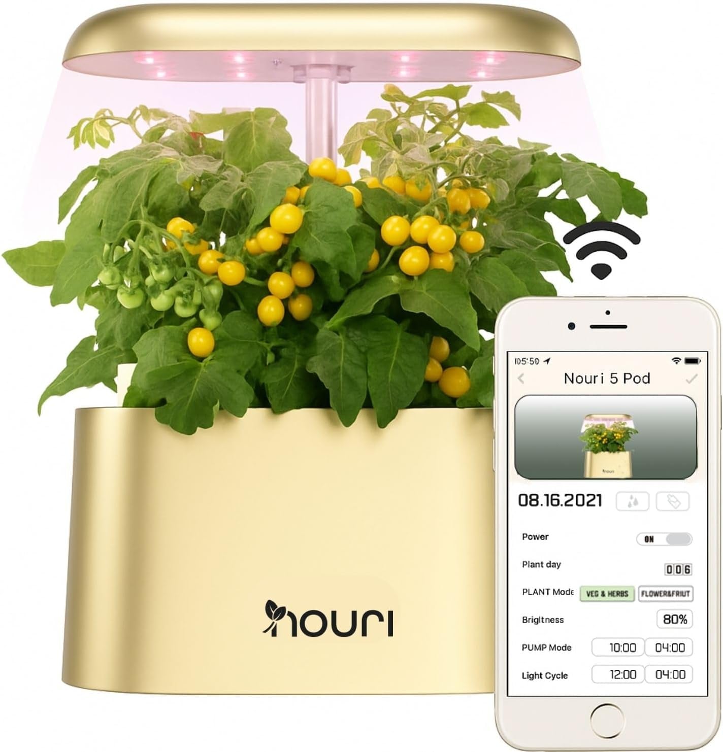 Nouveau pont 7 + basilic héritage | Jardin intelligent pour les cuisiniers à domicile | Système de culture hydroponique | Lampes de culture LED | Kit de jardinage d'herbes aromatiques d'intérieur pour les amateurs de plantes et les jardiniers, blanc