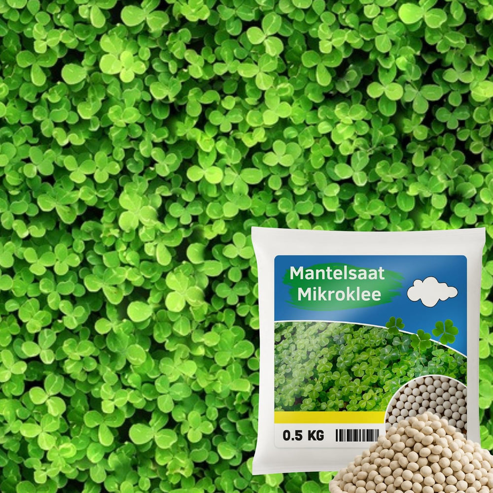 Flower Meadow - Mélange de graines de fleurs respectueuses des abeilles - Fleurs sauvages et graminées pour endroits secs - Graines de fleurs sauvages - Mélange de graines annuelles et vivaces