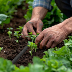 Furtun de picurare Relaxdays, 25 m, furtun de udare pentru udarea straturilor înalte și a gardurilor vii, furtun de grădină, negru