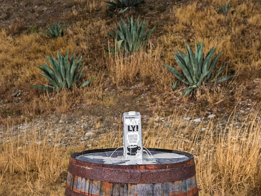 Oatly Barista Haferdrink Barista Edition, longue durée de vie 1 litre (paquet de 6)