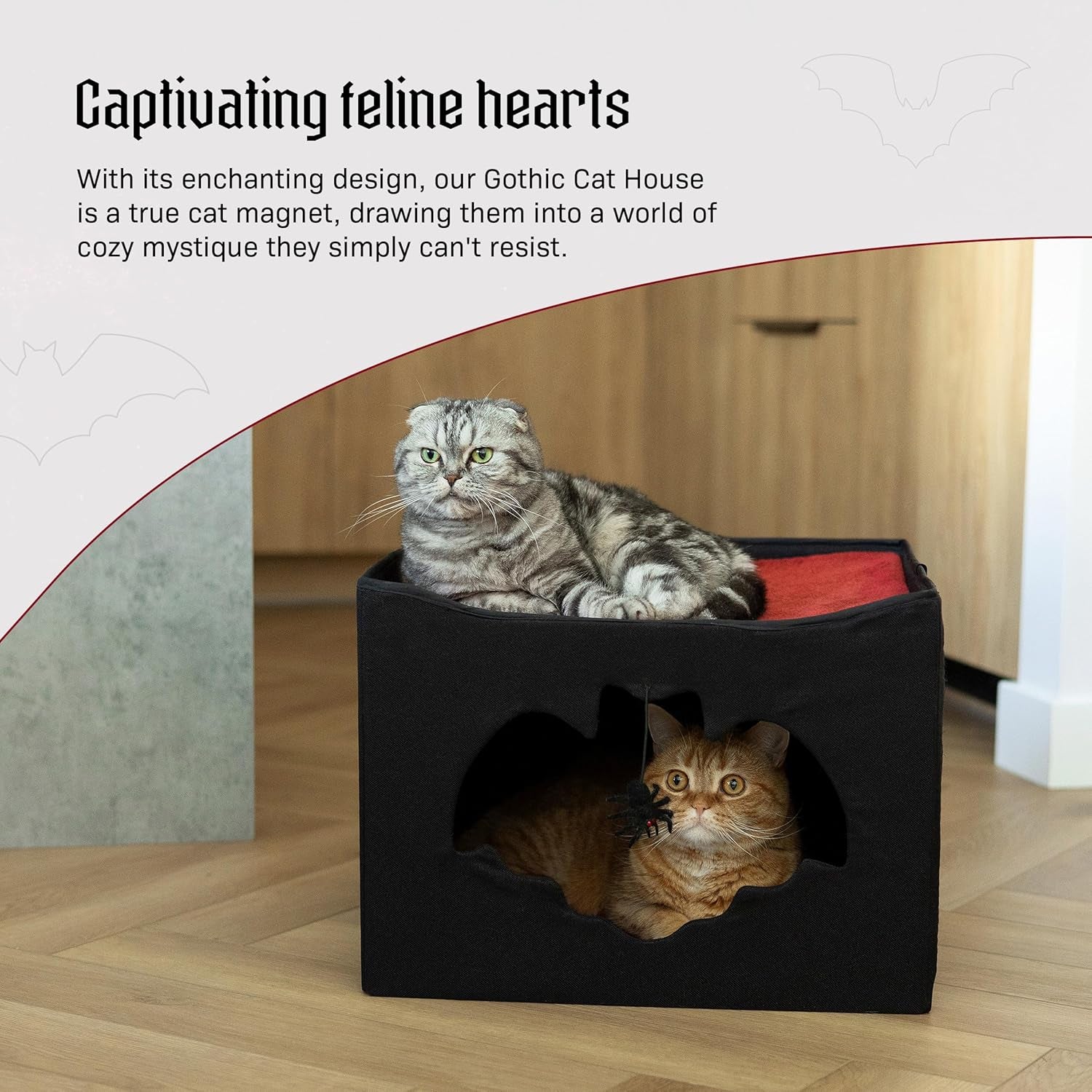 Couvertures et meubles, Animaux, Chats, Lits pour chats, Griffoir, Chats - lits, matelas