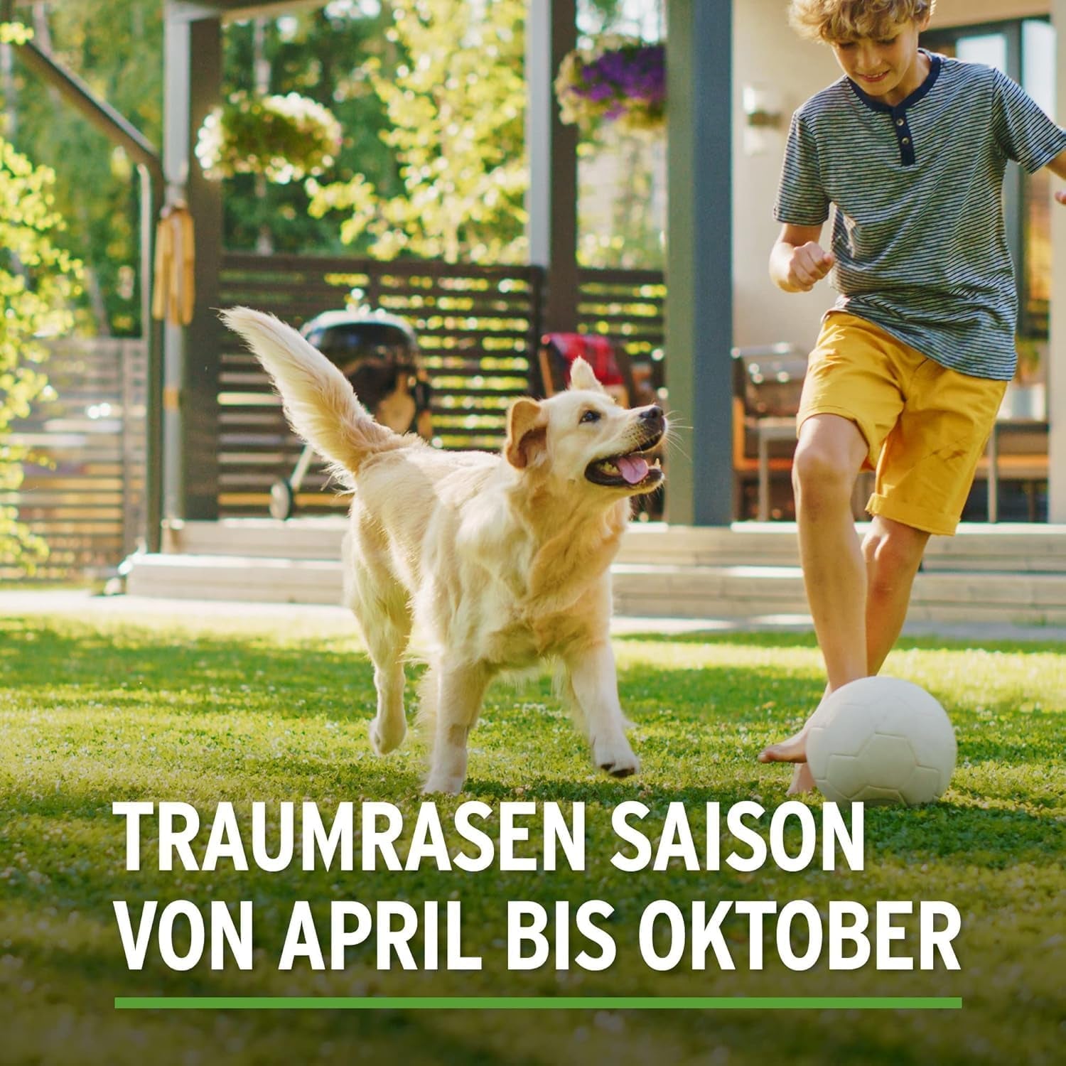 Substral Rasensamen Sport Und Spiel, 2Kg Für 100M² - Strapazierfähige Rasensaat-Mischung Mit Grünfärbung Gegen Vogelfraß